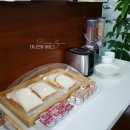모터치 이미지