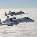 A-10 이미지