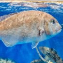 GS25죽도시장 이미지