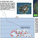 쌍정초 이미지