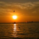 우리바다 이미지