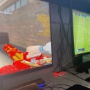 욜로피씨 이미지