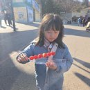 문차이나 | 용인 에버랜드 내부식당 맛집 차이나문에서 만족했던 후기♡