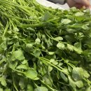 승우농원 이미지