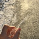 주식회사 나목도태양광 | 윙가르디움 레비오사, 잇츠 레비오우사 낫 레비오사