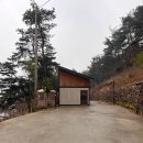 솔솔리조트 2호점 네이버블로그