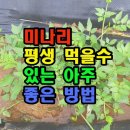 평생먹을
