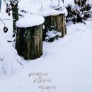 여주-0238 네이버블로그
