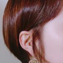 유달리아