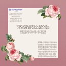 썬플라워태양광발전소 이미지