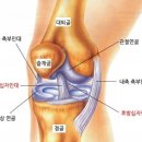 전주우리들병원 이미지