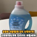 장미세탁 | 쿠팡 찬물에도 잘 녹는 세탁세제 추천, 더프트앤도프트 인리치드 퍼퓸 소피소피 사용 후기