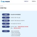 펄스온생명공학 | 제20회 여수해양마라톤 풀코스 참가 후기