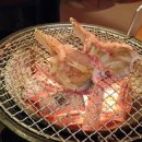 양파이