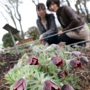 서사분교 이미지