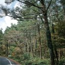 정낭식당 이미지