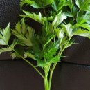 서후초등학교대흥분교장 이미지