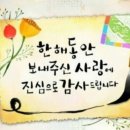 보라면