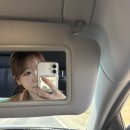 장안곡 | 논산 딸기축제2026 후기(주차 꿀팁 및 먹거리)