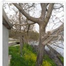 보아농장 이미지