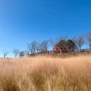 악양 승마장 이미지