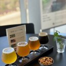 추산성불사 공중화장실 | 울릉도에서 보내는 여름휴가 [울릉도에서 먹고 마신 것들 2]