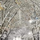 겨울의전설