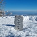 평창 능경봉~고리포기산(2월21일) 이미지