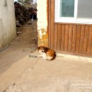 삼양 준하우스 이미지