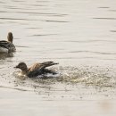 서호공원 이미지