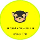 수원 피자 맛집 반월점 파파존스 아이리쉬 포테이토 피자를 시켜 먹어보았어요. 온 가족이 맛있게 먹을...