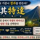 택기특달(擇其特達) 뜻과 풍수적 의미선택의 기준과 혈(穴)의 원리 이미지