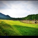 강변하얀집민박 이미지