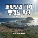 호주 멜번 가이드 투어 펭귄섬 , 퍼핑빌리 기차