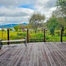 통영RCE세자트라센터 | 🍂 자연과 교육의 하모니, 통영RCE세자트라숲에서 만나는 힐링과 학습의 공간