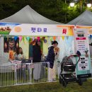 정돌이네 | 펫 타로 행사 후기