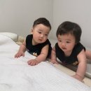 남매침구 | 안양 매트리스청소 전문 비치움 이브홈케어, 기관지 약한 남매쌍둥이맘 솔직후기