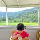 평화목장 | 포천 갈 때 무조건 들리는 '사르르 목장' n차 방문 후기