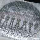 [방탄소년단] 'ARIRANG' (613 Limited Edition Picture Disc Vinyl) 노멀 한국어 버전 수록 바이닐 후기 💽
