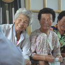 농민약국 이미지