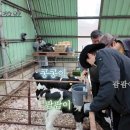 가고팜