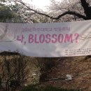 경기도 수원시 영통구 월드컵로 이미지