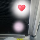 백암동물병원