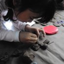 동백유치원 이미지