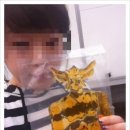 [붕붕이일기] 고흥 머드 축제 갔다가 로보트를 뽑았다~