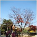 등불민속식당 이미지