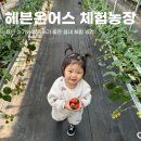 (주)아이어스 | 용인가볼만한곳 아기랑 딸기체험 동물농장 한번에 즐기기 헤븐온어스