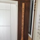 야동농장 이미지