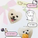 명송 | [서울 시그니엘] 기대, 그 이상의 후기 🏩 를 써야겠지요