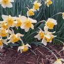 재삼농장 이미지